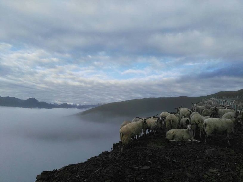 中国】达瓦更扎看云海冰球突破网站【大美