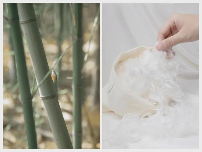 Nest Designs真正出圈的底层逻辑冰球突破豪华版手机版颜值与实力双轮驱动拆解(图8) Nest Designs真正出圈的底层逻辑冰球突破豪华版手机版颜值与实力双轮驱动拆解(图8)