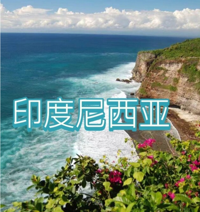 国国际电商(印尼)产业博览会冰球突破爆百