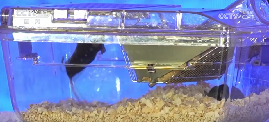 验 “全”释硬科技支撑中国航天迈向更远宇宙冰球突破“数”说2025年中国空间站科学实(图2)