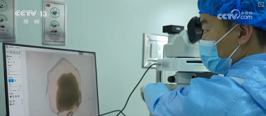 验 “全”释硬科技支撑中国航天迈向更远宇宙冰球突破“数”说2025年中国空间站科学实(图7)